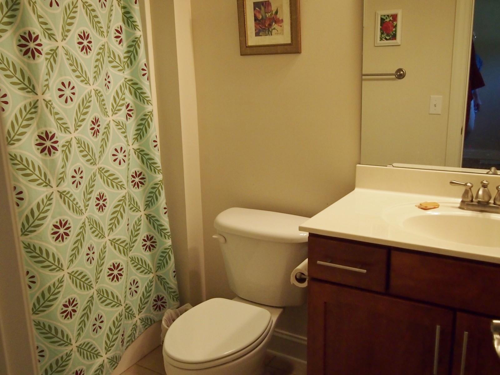 14 Elk Ridge Lane Southern Pines, NC 28387 - Photo 13 of 25 DBa5