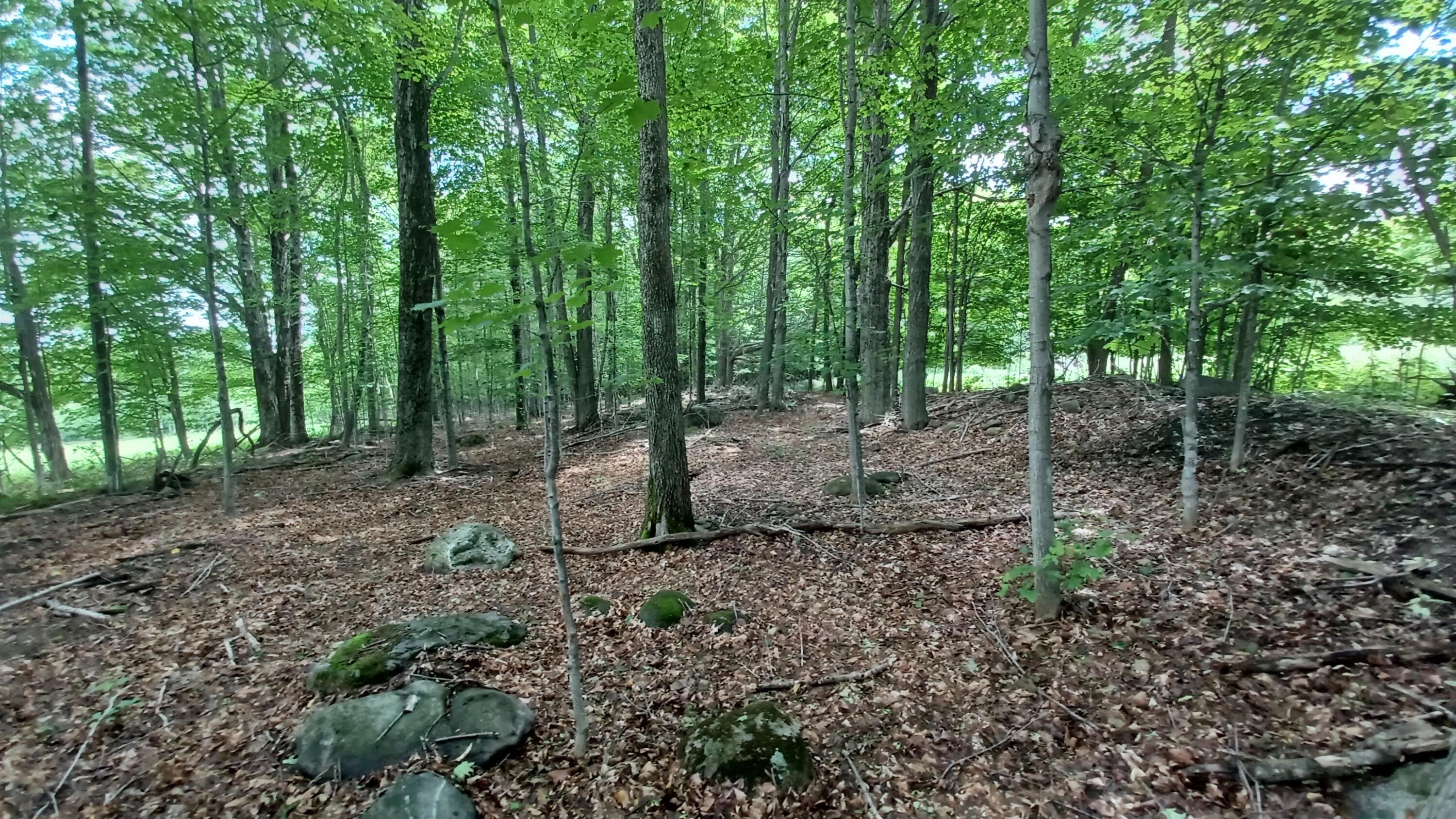 423 Ridge Road Fairfield, ME 04937 - Photo 48 of 53 20230620_123108