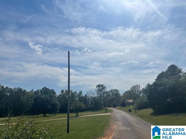 240 Blue Bird Lane, Unit 1 Alpine, AL 35014 - Photo 3 of 3