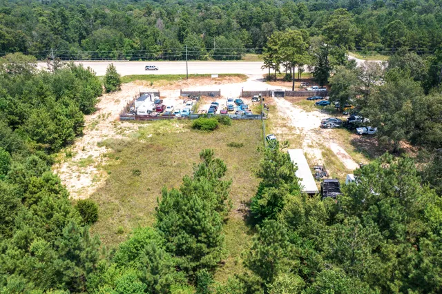 a view of a park with large trees