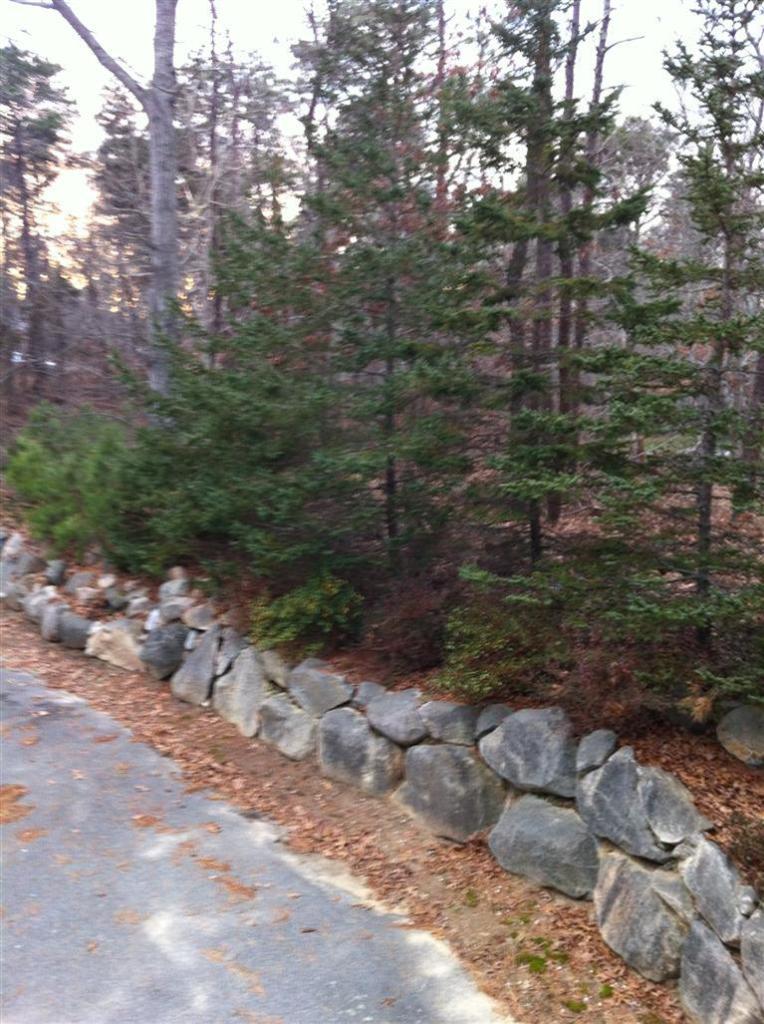 515 Tubman Road Brewster, MA 02631 - Photo 3 of 11 Additional Photo