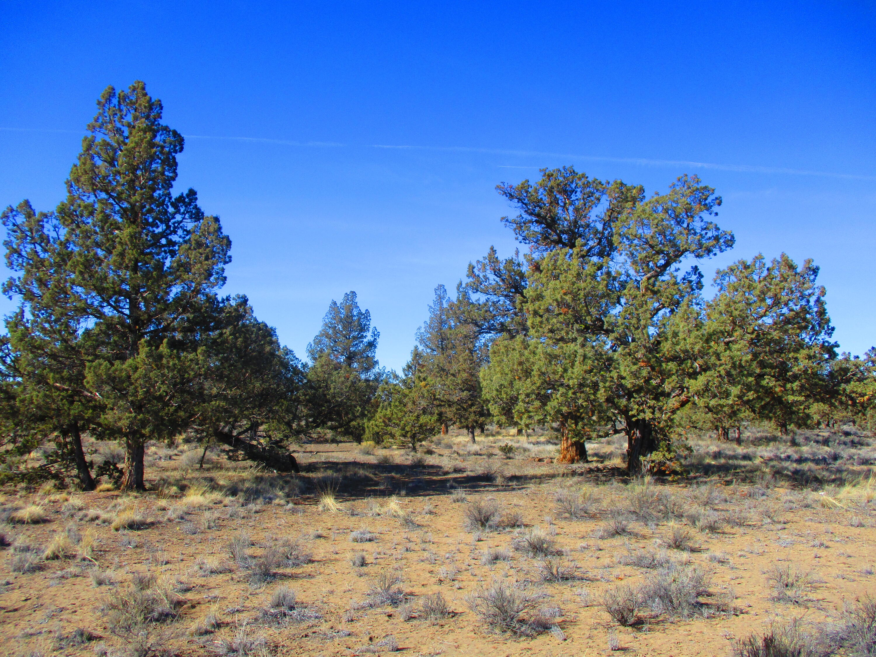 Tl1700 Southeast Mohawk Road Prineville, OR 97754 - Photo 9 of 21 10