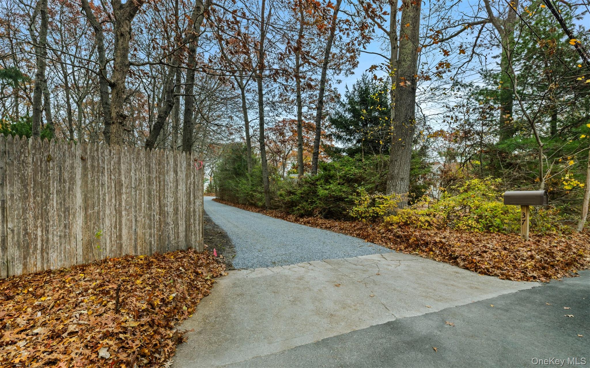 37 Pond Lane Ridge, NY 11961 - Photo 25 of 26 a view of a garden with pathway