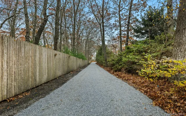 a view of a backyard with plants and wooden fence