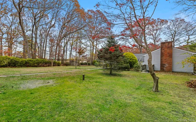 a view of yard with tree and a wooden fence