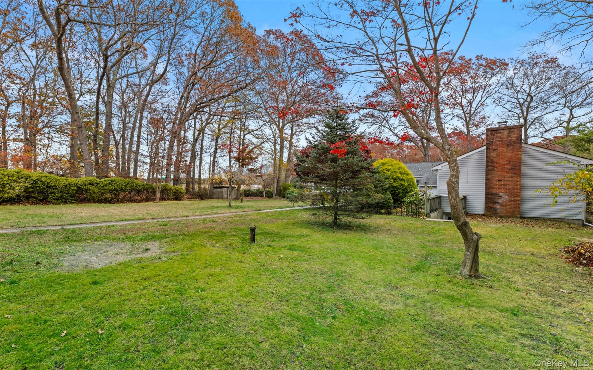 37 Pond Lane Ridge, NY 11961 - Photo 3 of 26 a view of yard with tree and a wooden fence
