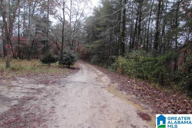 3941 Raceway Parkway Fultondale, AL 35068 - Photo 3 of 14