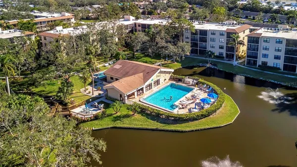 a view of a garden with plants and large trees