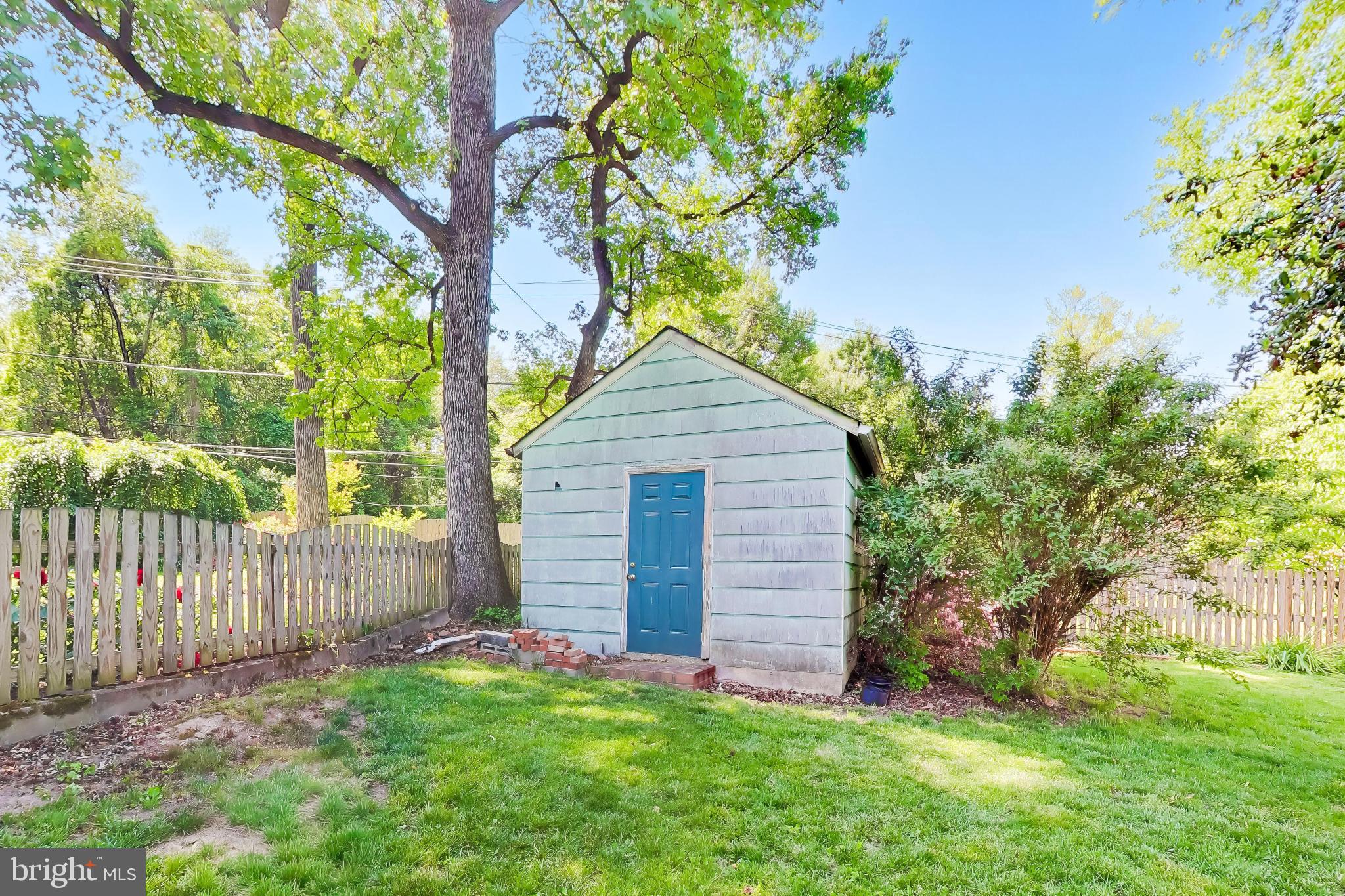5707 Greenleaf Road Cheverly, MD 20743 - Photo 37 of 40 Charming shed nestled in lush greenery.