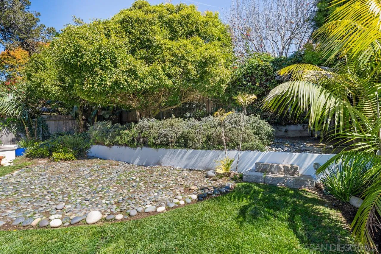 13711 Mercado Drive Del Mar, CA 92014 - Photo 43 of 46 a view of a yard with plants and large trees