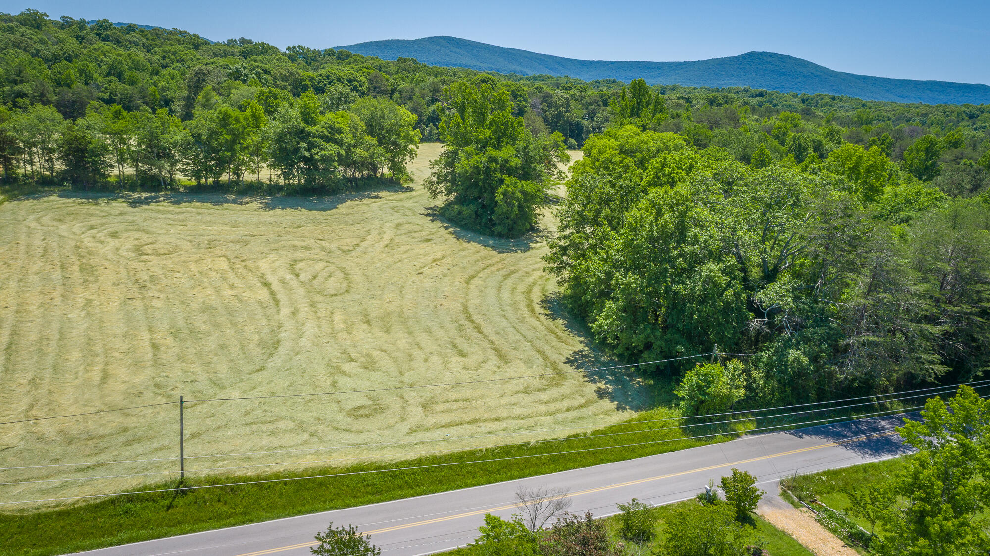1655 West Cove Road Chickamauga, GA 30707 - Photo 43 of 62 1655 W Cove Road HD-2