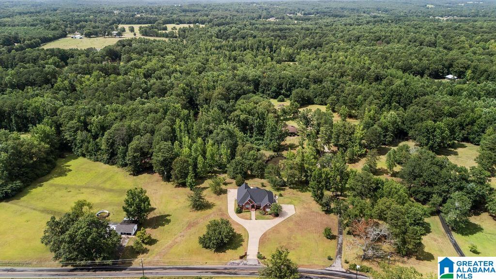 5355 Hollis Goodwin Road Dora, AL 35062 - Photo 33 of 35