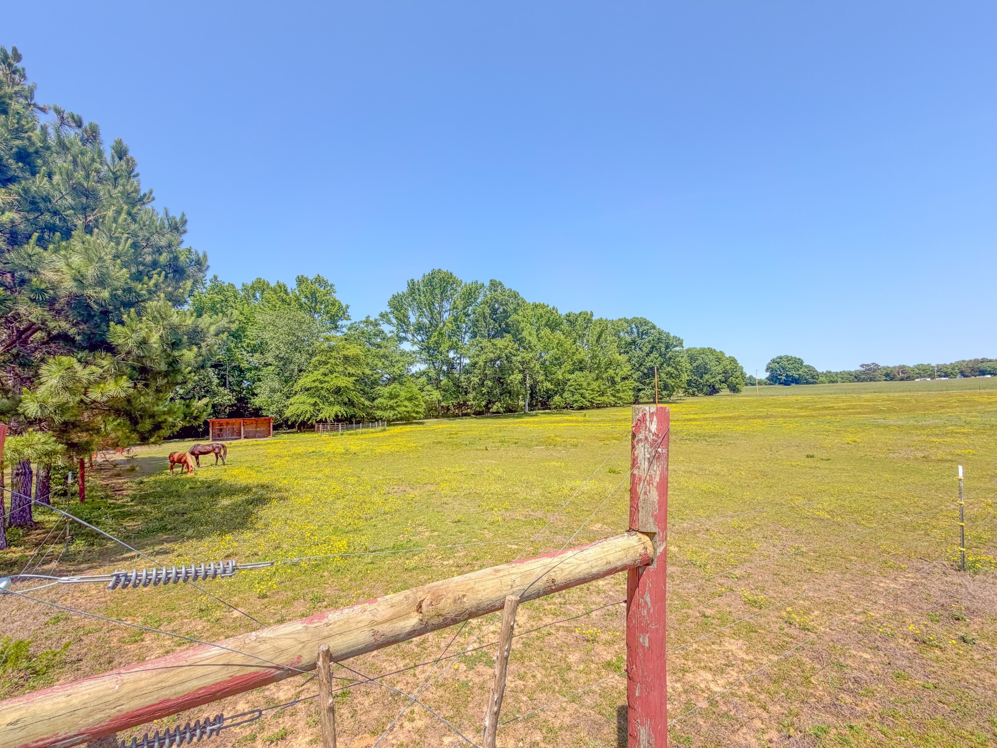 3800 Salem Road Minor Hill, TN 38473 - Photo 40 of 53