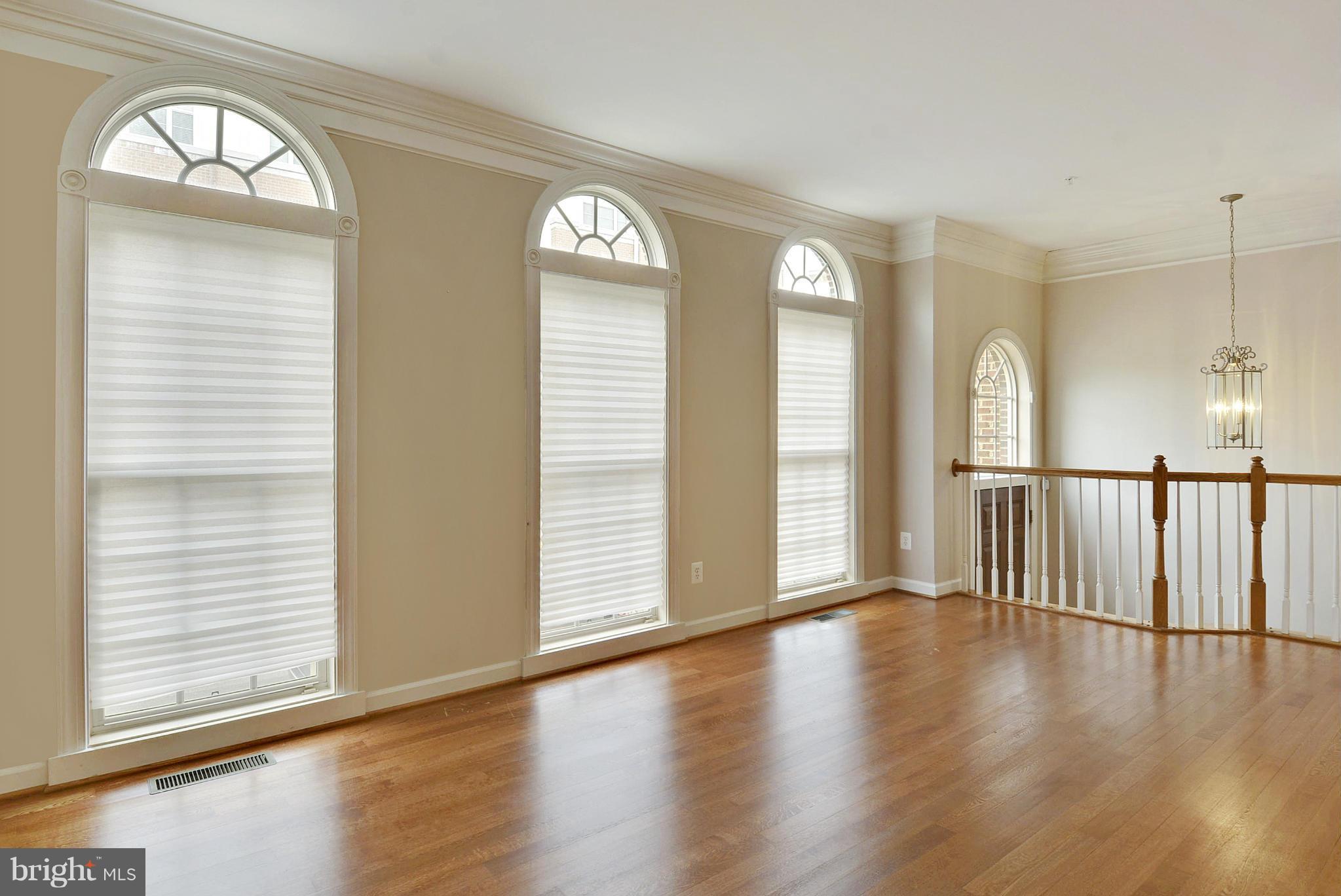 7976 Vigne Court Vienna, VA 22182 - Photo 3 of 30 Floor to ceiling beautiful windows in living room