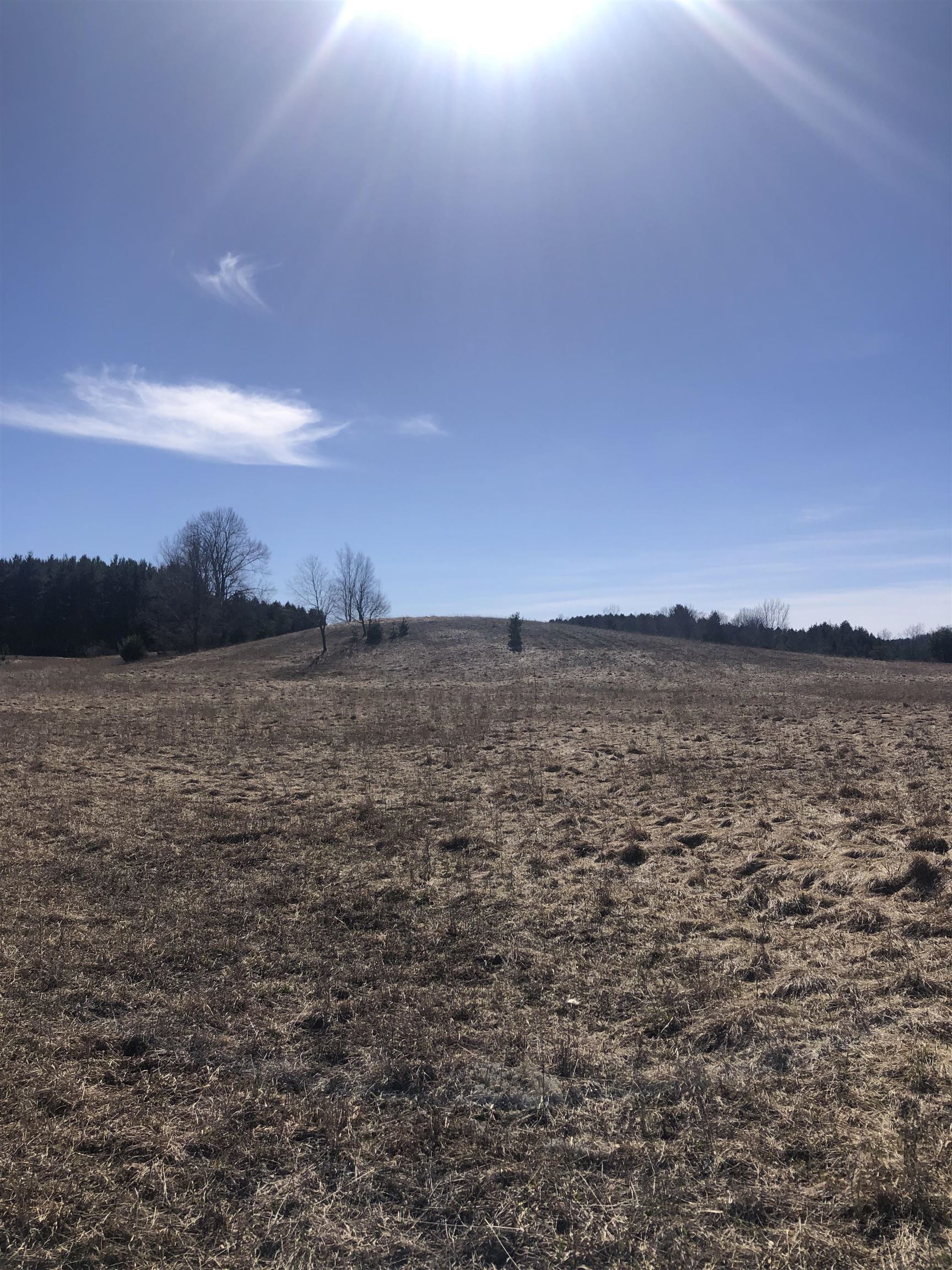 9 South 9 Mile Road Copemish, MI 49625 - Photo 6 of 35