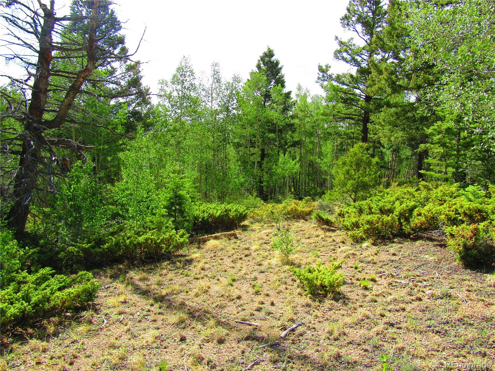Lot 6093 Forbes Road San Luis, CO 81152 - Photo 4 of 14
