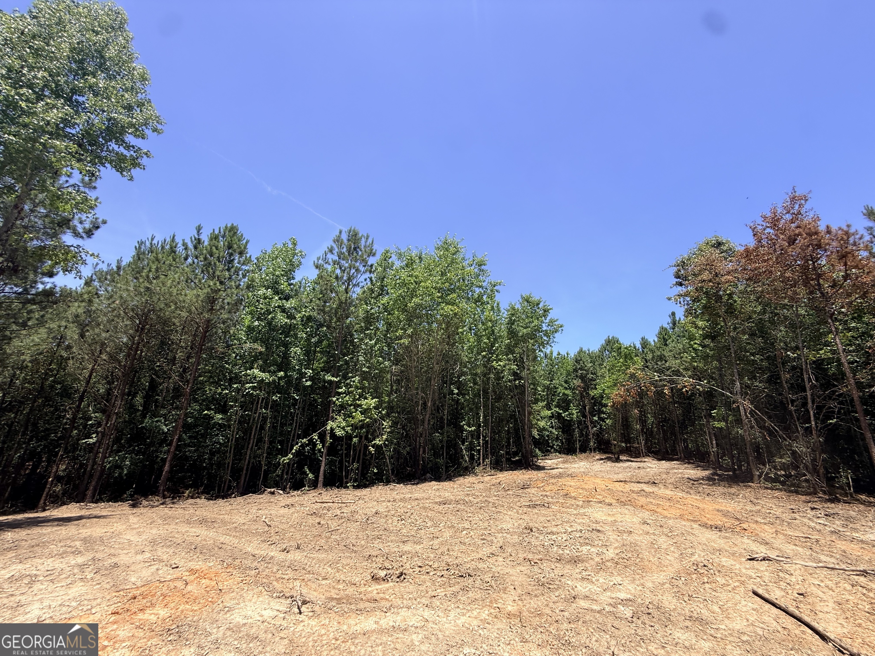 2807 Cedar Creek Road Elberton, GA 30635 - Photo 38 of 109