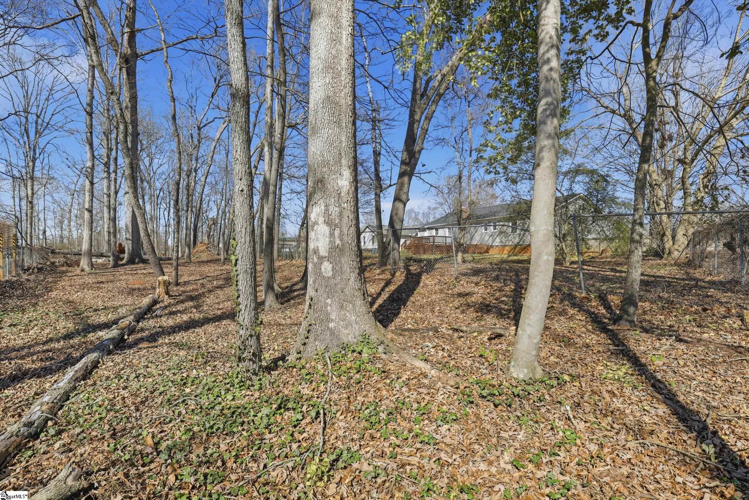 1006 Colleton Court Easley, SC 29642 - Photo 18 of 22