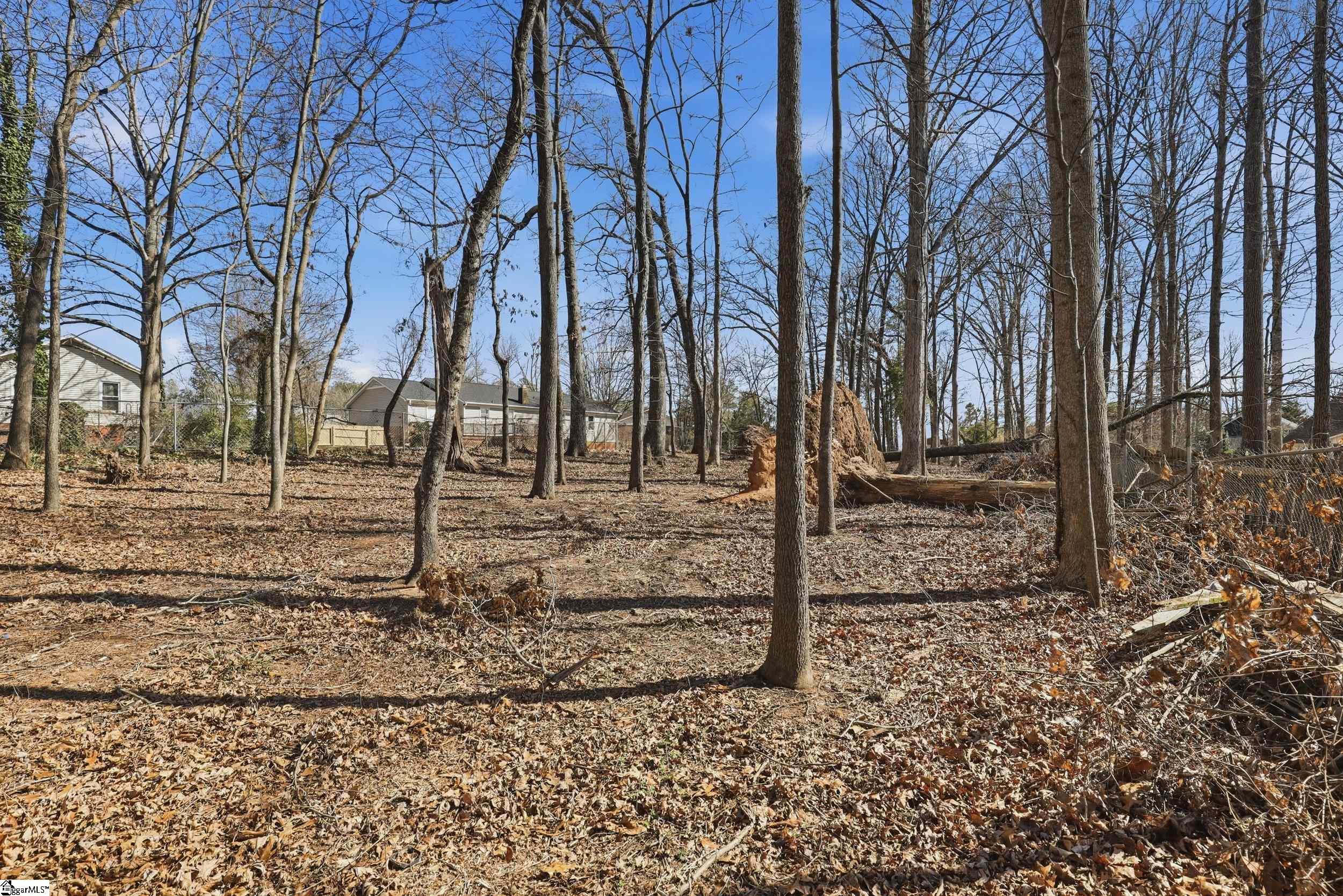 1006 Colleton Court Easley, SC 29642 - Photo 19 of 22