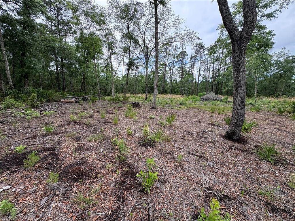 0 Piney Bluff Road Waverly, GA 31565 - Photo 8 of 26 Interior View of Lot