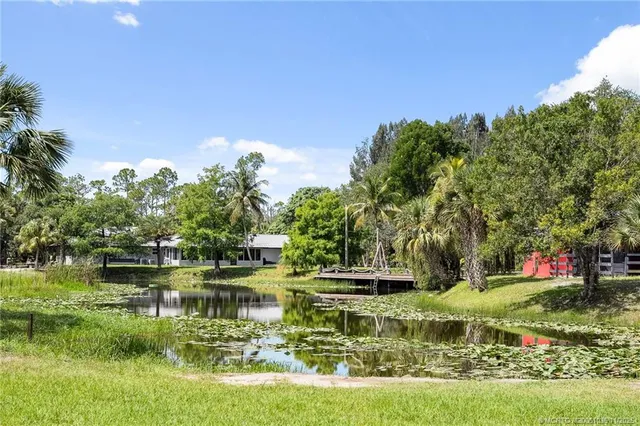 a view of a room with furniture and wooden floor