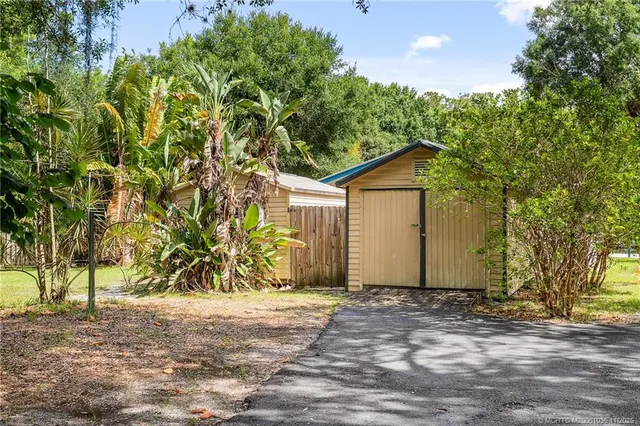 a view of a trees in a yard