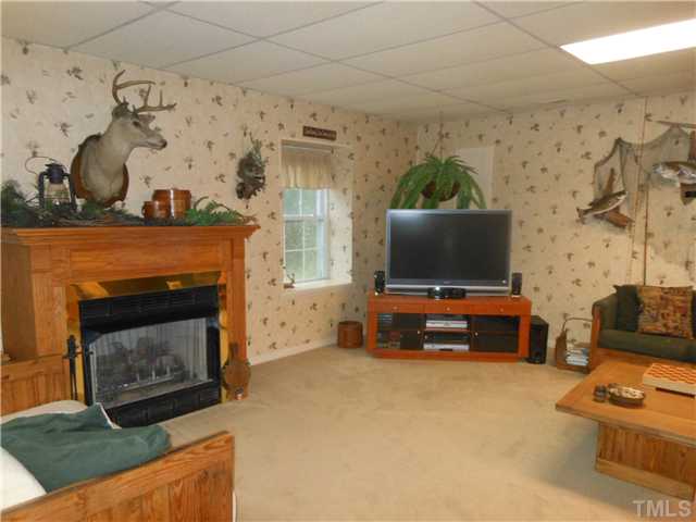 766 Flint Ridge Road Prospect Hill, NC 27314 - Photo 8 of 25 Basement Den