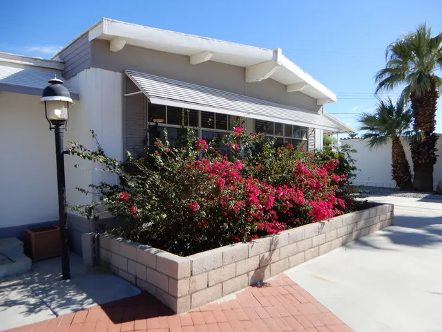 a view of a potted flower in front of a house