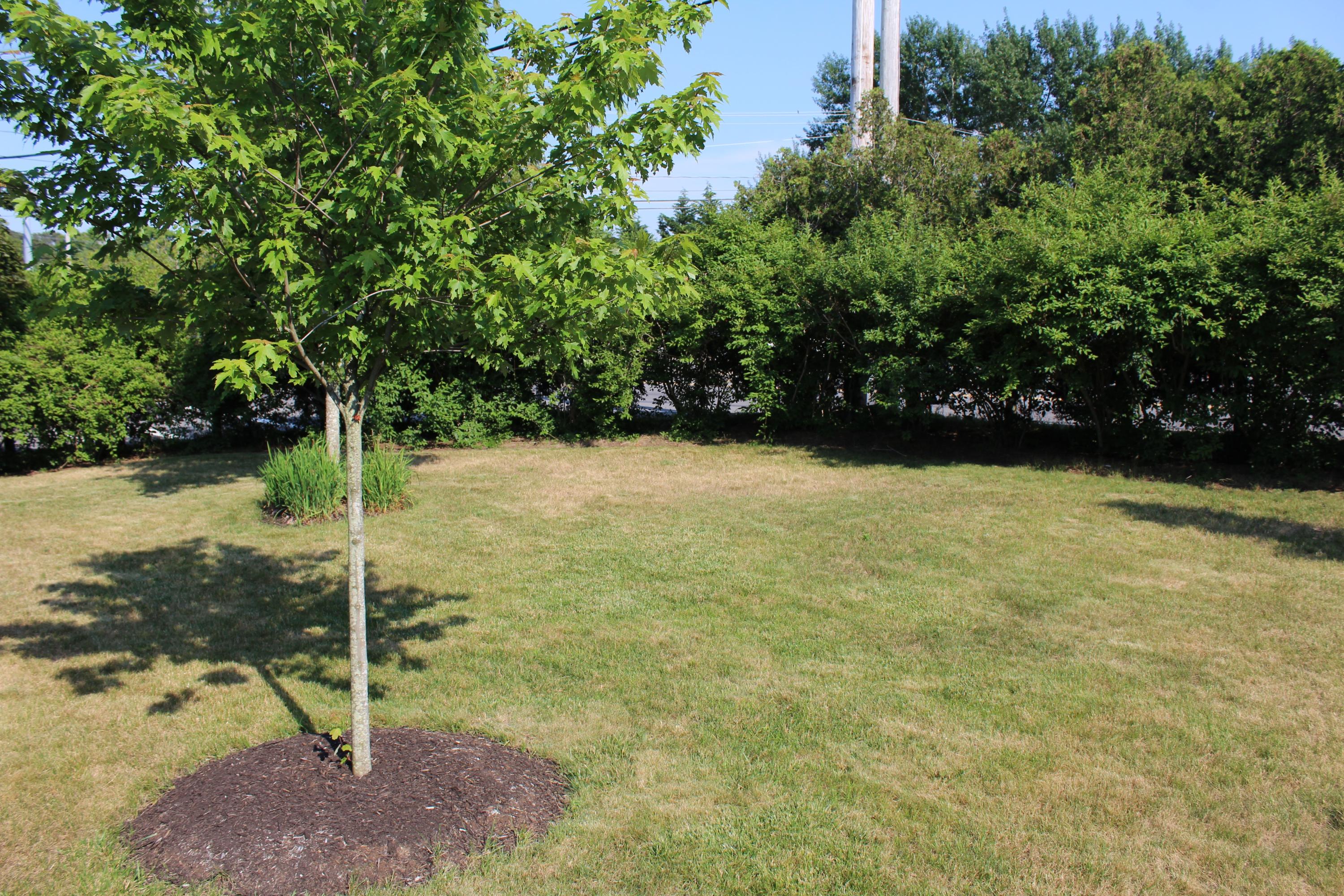 1120 Queen Anne Road Harwich, MA 02645 - Photo 34 of 35 IMG_9357