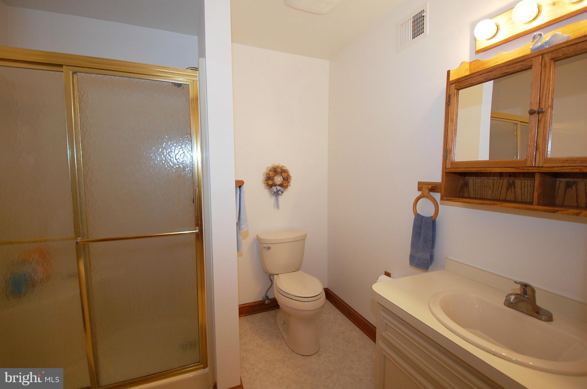 3782 Boteler Road Mount Airy, MD 21771 - Photo 18 of 30 Bath (Master)