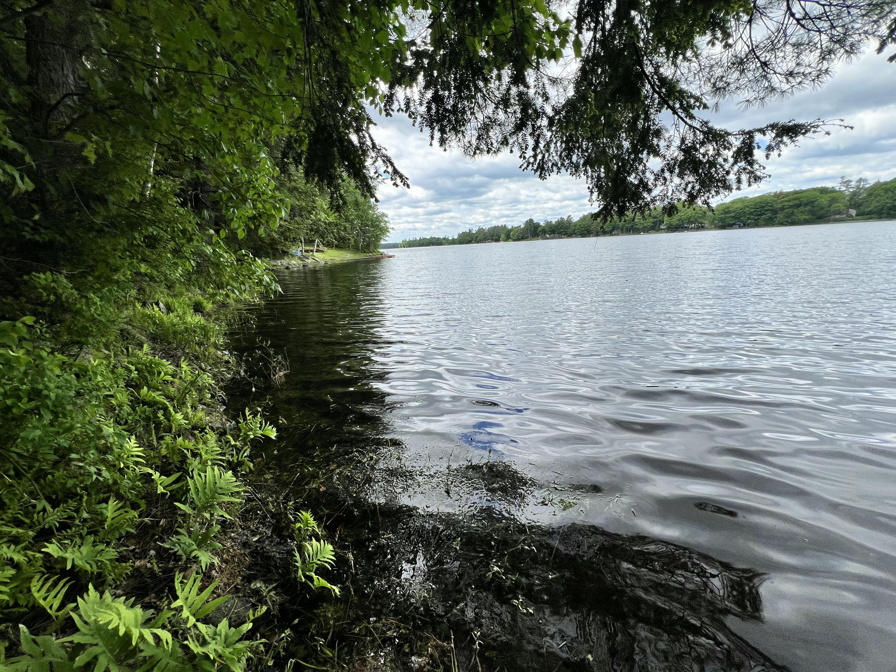 826 Somerville Road Somerville, ME 04348 - Photo 6 of 78 IMG_1054 2