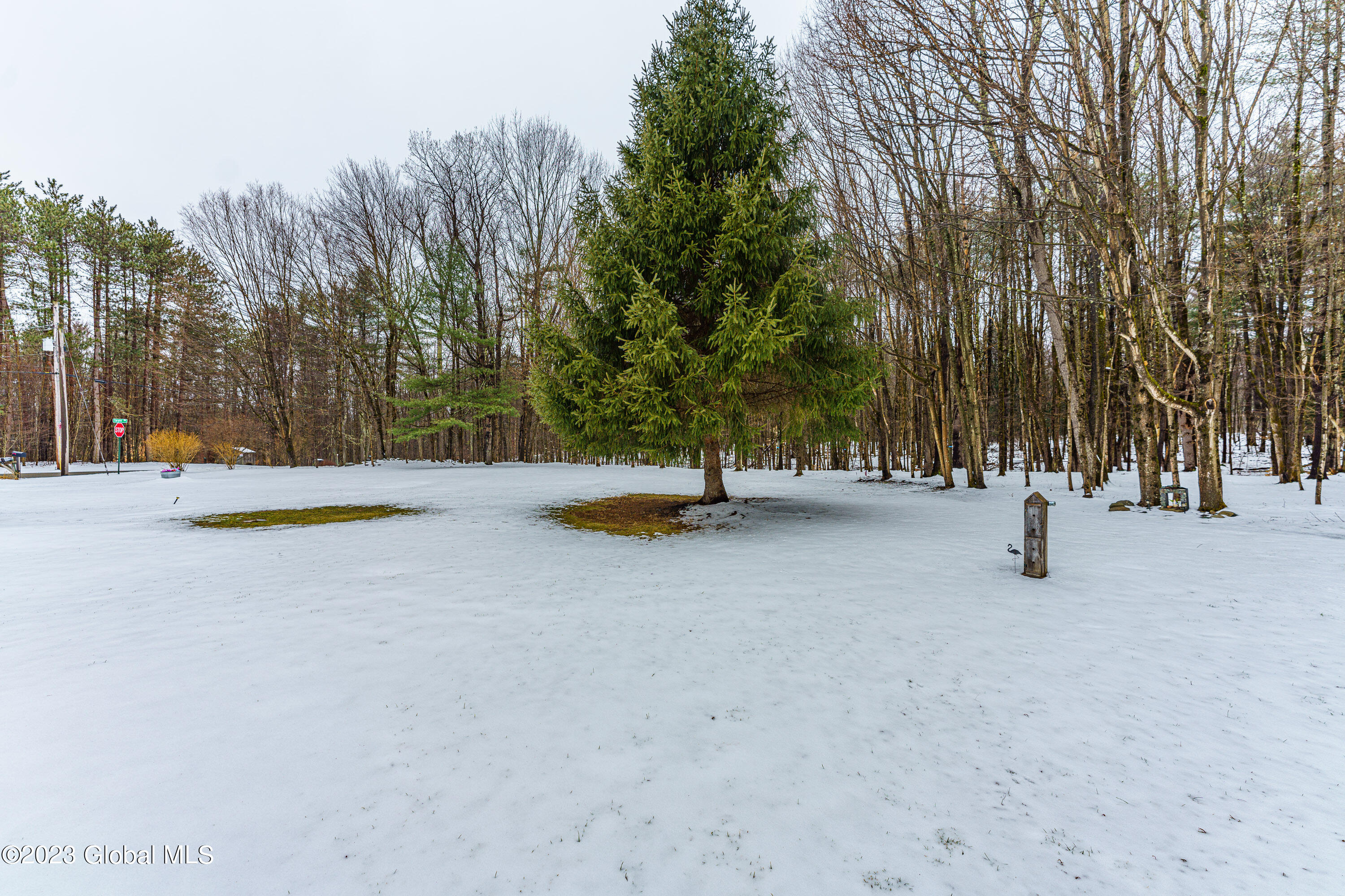 159 Tayer Road Stephentown, NY 12062 - Photo 50 of 52 Yard 4