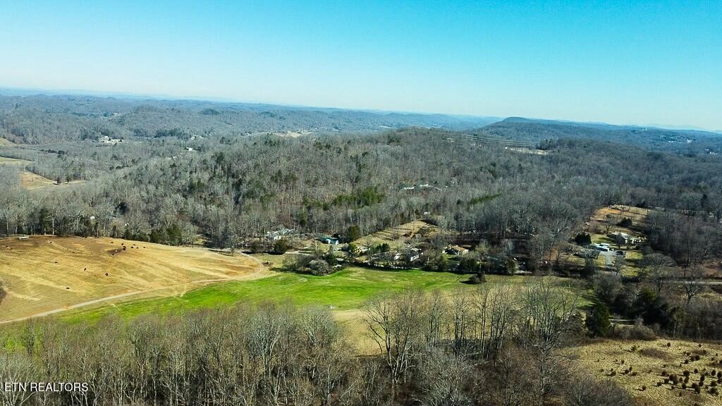 351 Blacks Ferry Road Knoxville, TN 37931 - Photo 13 of 29 Gallery Image 13