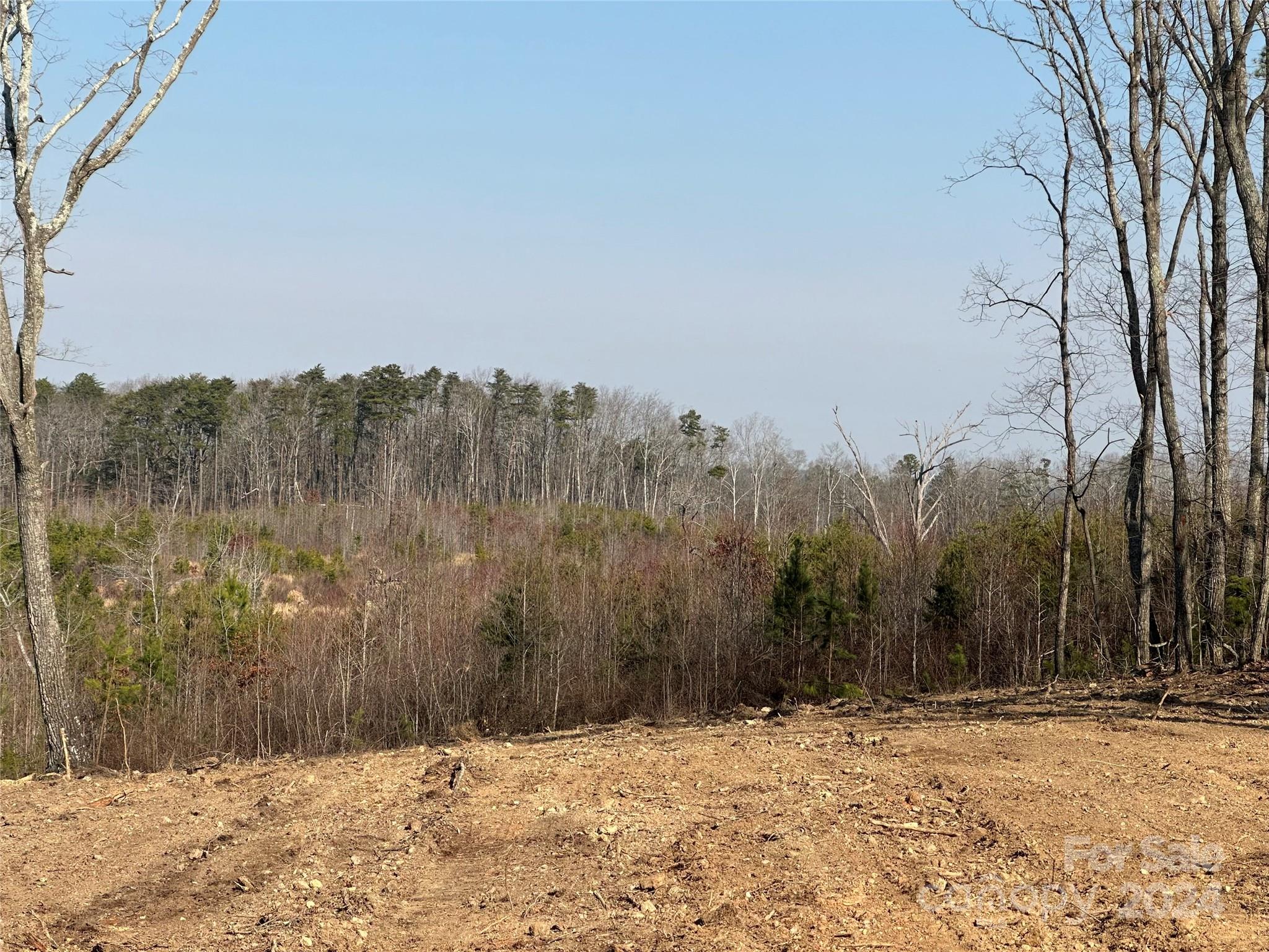 0 Mountain View Church Road Albemarle, NC 28001 - Photo 2 of 2 Gallery Image 2
