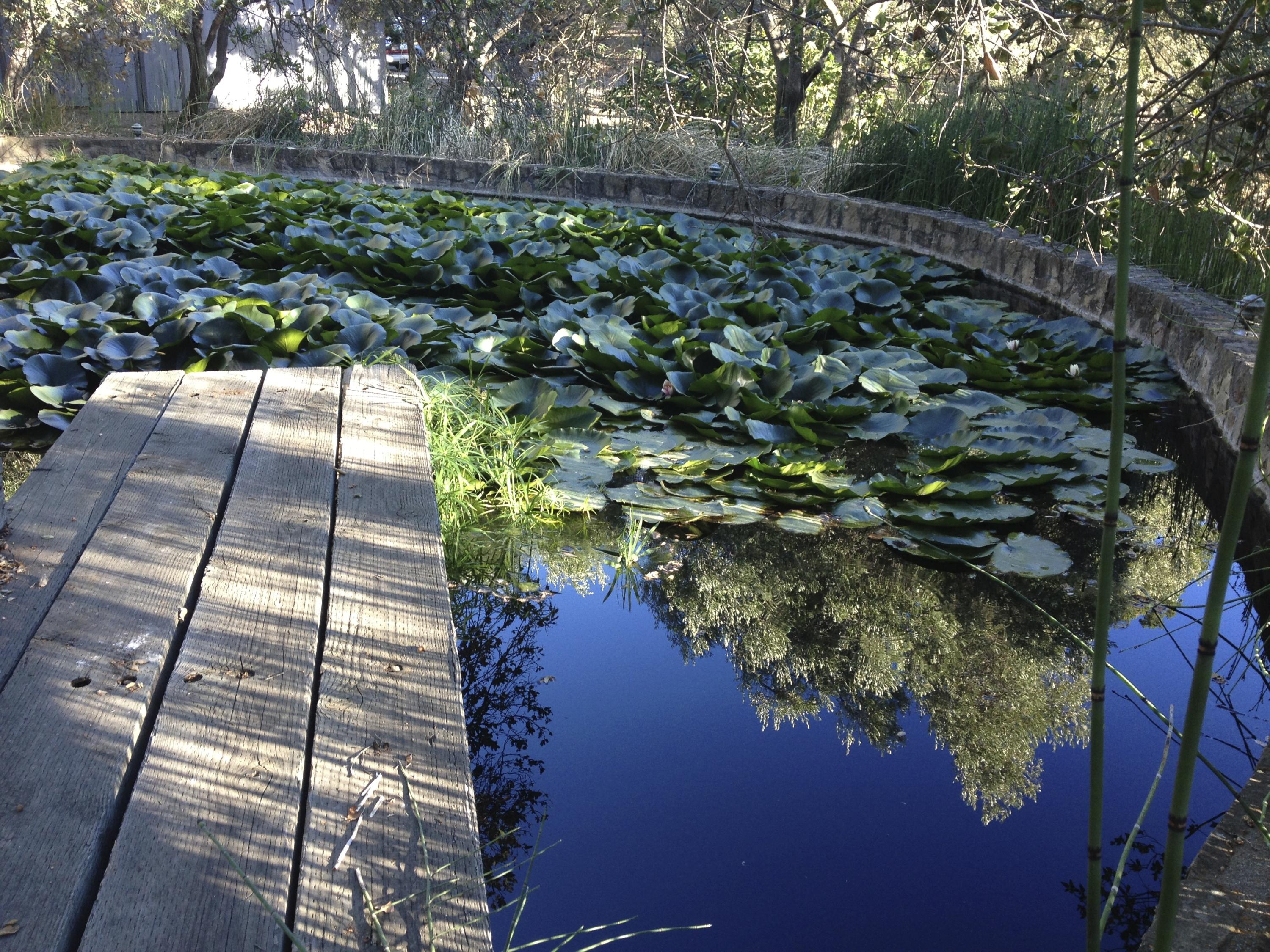 2101 Refugio Road Goleta, CA 93117 - Photo 13 of 20 2012-10-28 16.41.44