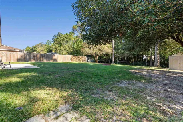 a view of a park with large trees