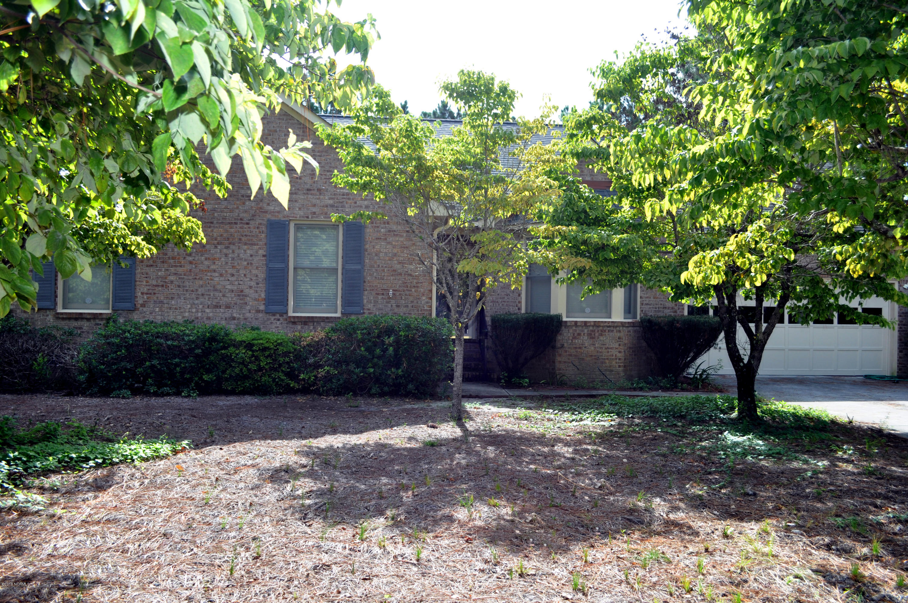 Wiregrass 03