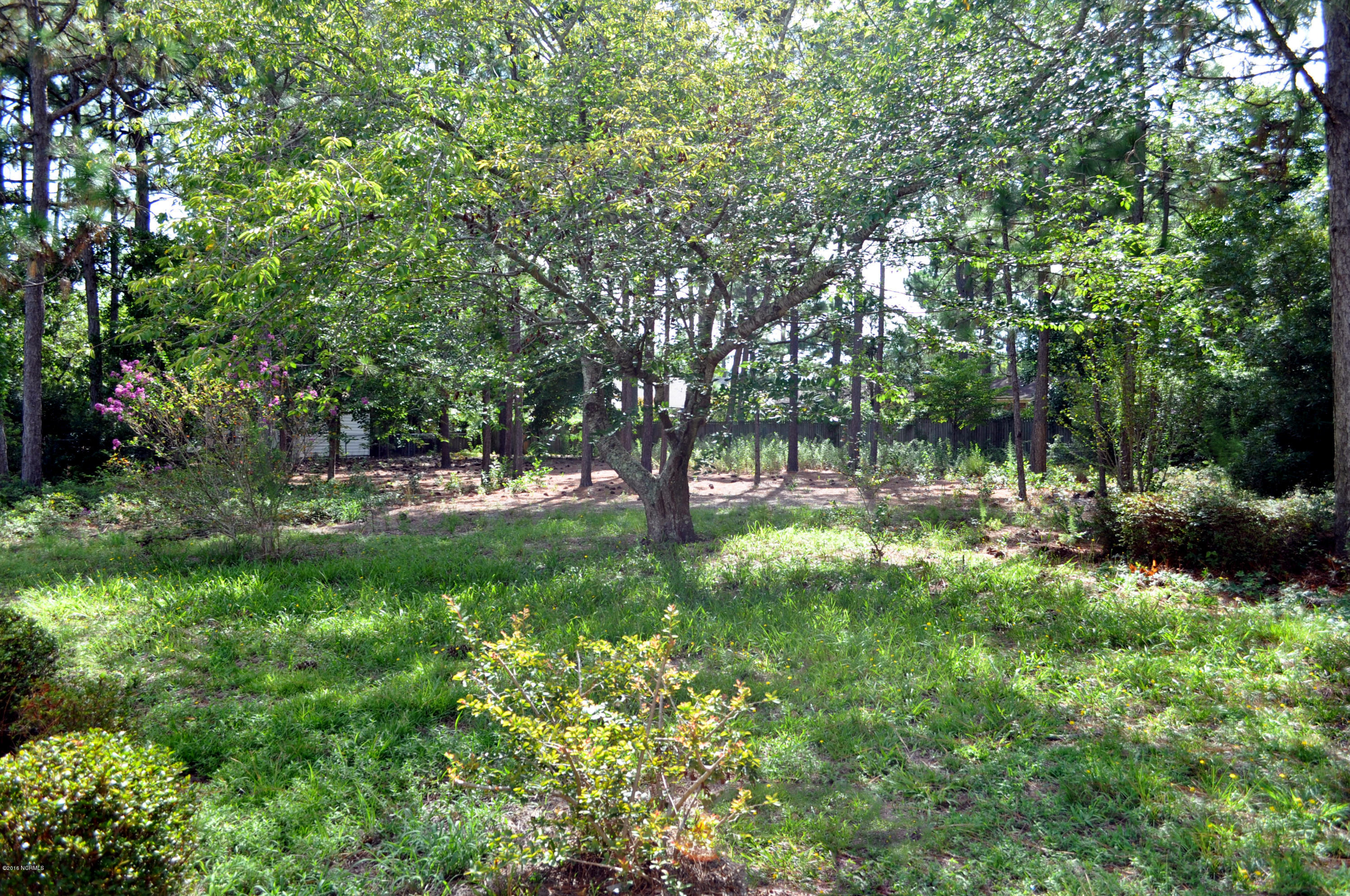 300 Wiregrass Road Wilmington, NC 28405 - Photo 33 of 43 Wiregrass 06