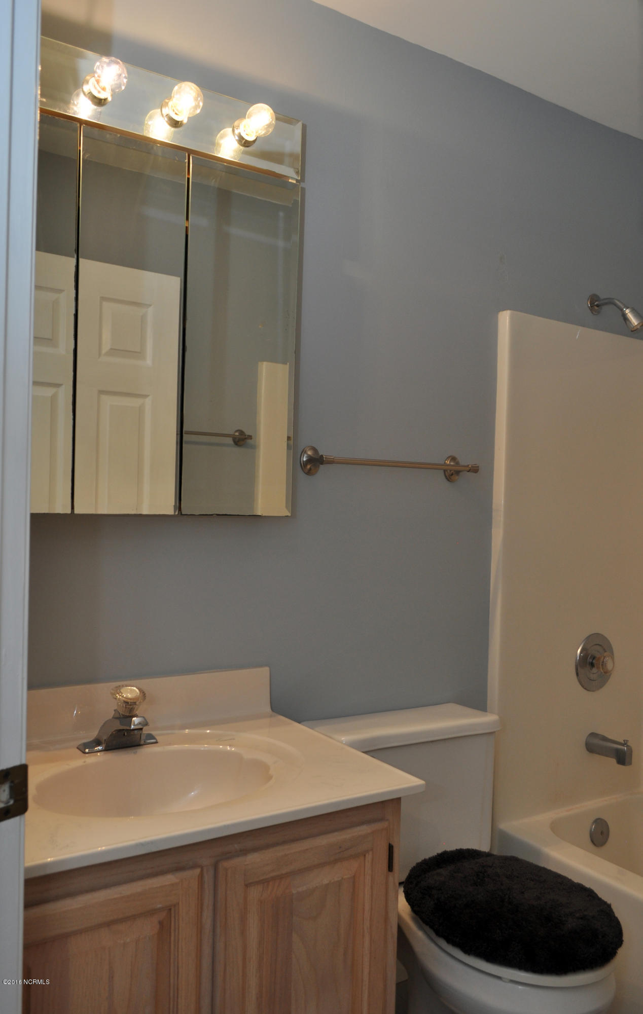 300 Wiregrass Road Wilmington, NC 28405 - Photo 37 of 43 Wiregrass 45