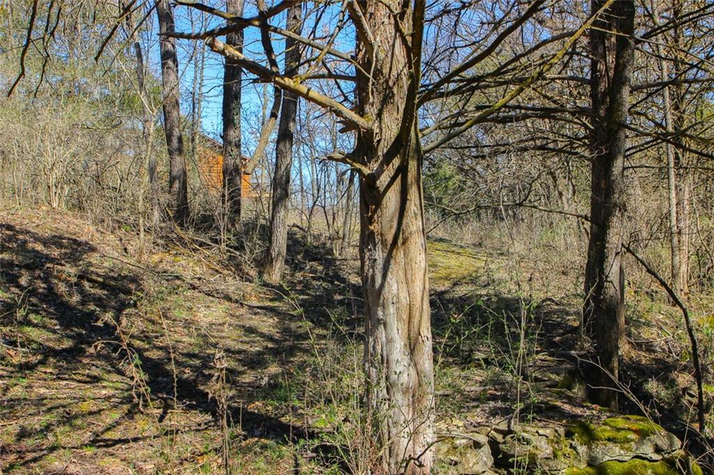 North Dometrorch Road Rocheport, MO 65279 - Photo 7 of 22 Gallery Image 7