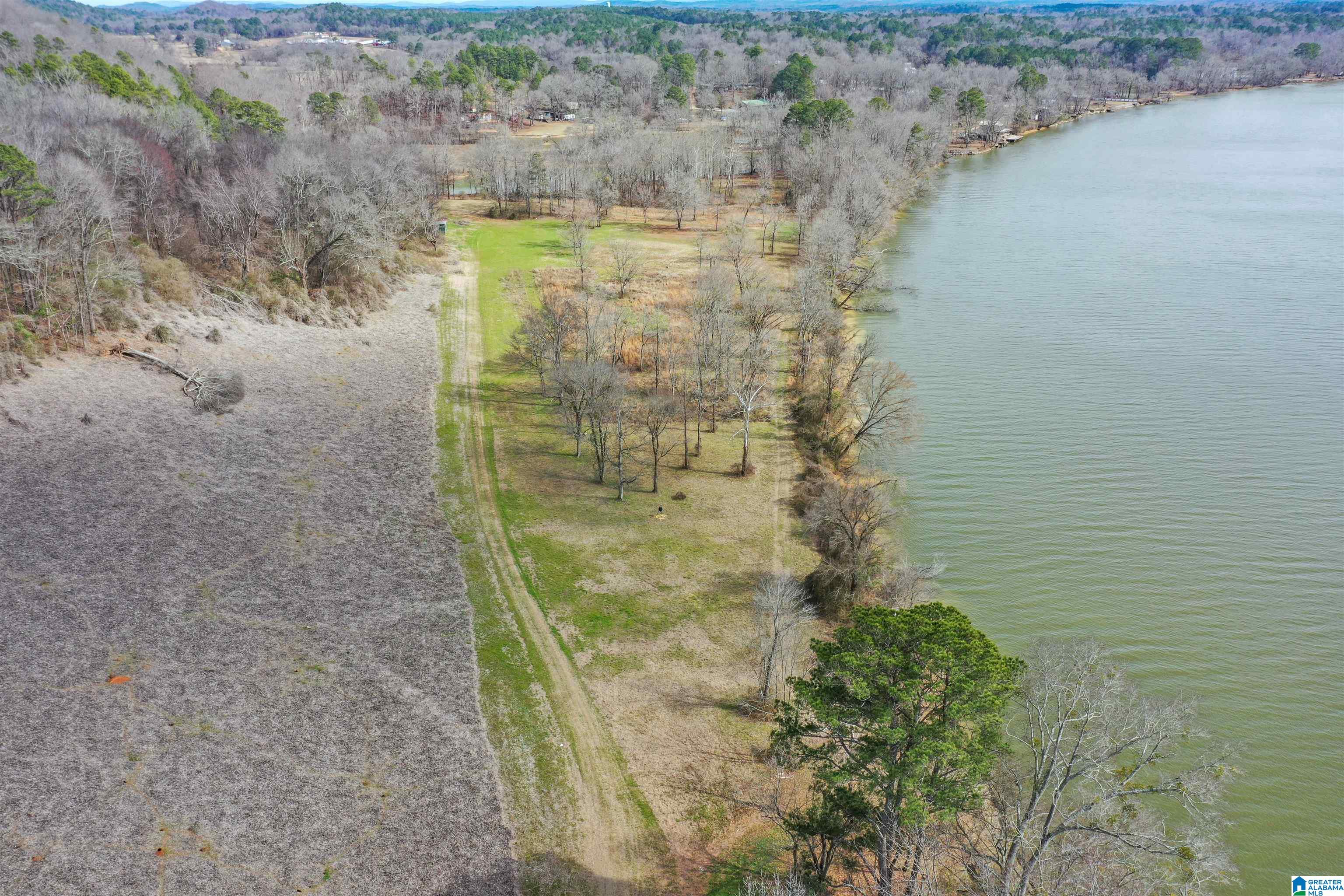 6240 Highway 144, Unit 1/2 Ragland, AL 35131 - Photo 6 of 29