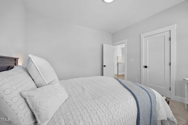 a bedroom with a bed and a closet