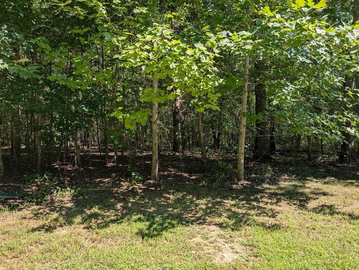 140 Sunset Bluff Monteagle, TN 37356 - Photo 8 of 28