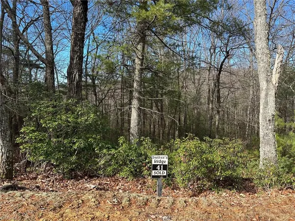 $29,900 | Lot 41 Sutters Ridge Road, McGrady, NC 28649