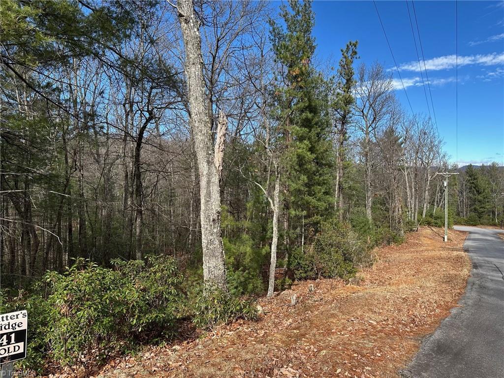 Lot 41 Sutters Ridge Road McGrady, NC 28649 - Photo 3 of 8