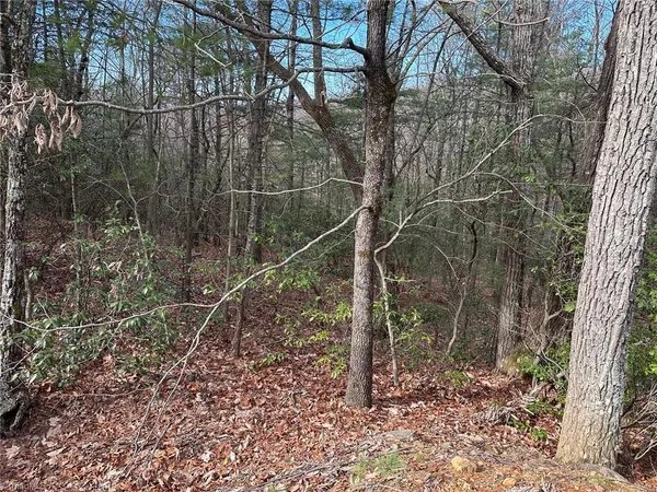 $29,900 | Lot 41 Sutters Ridge Road, McGrady, NC 28649