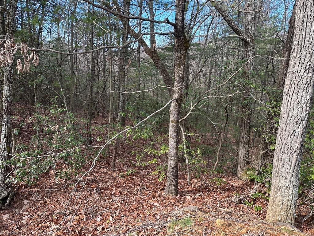 Lot 41 Sutters Ridge Road McGrady, NC 28649 - Photo 4 of 8