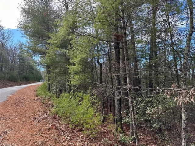 $29,900 | Lot 41 Sutters Ridge Road, McGrady, NC 28649