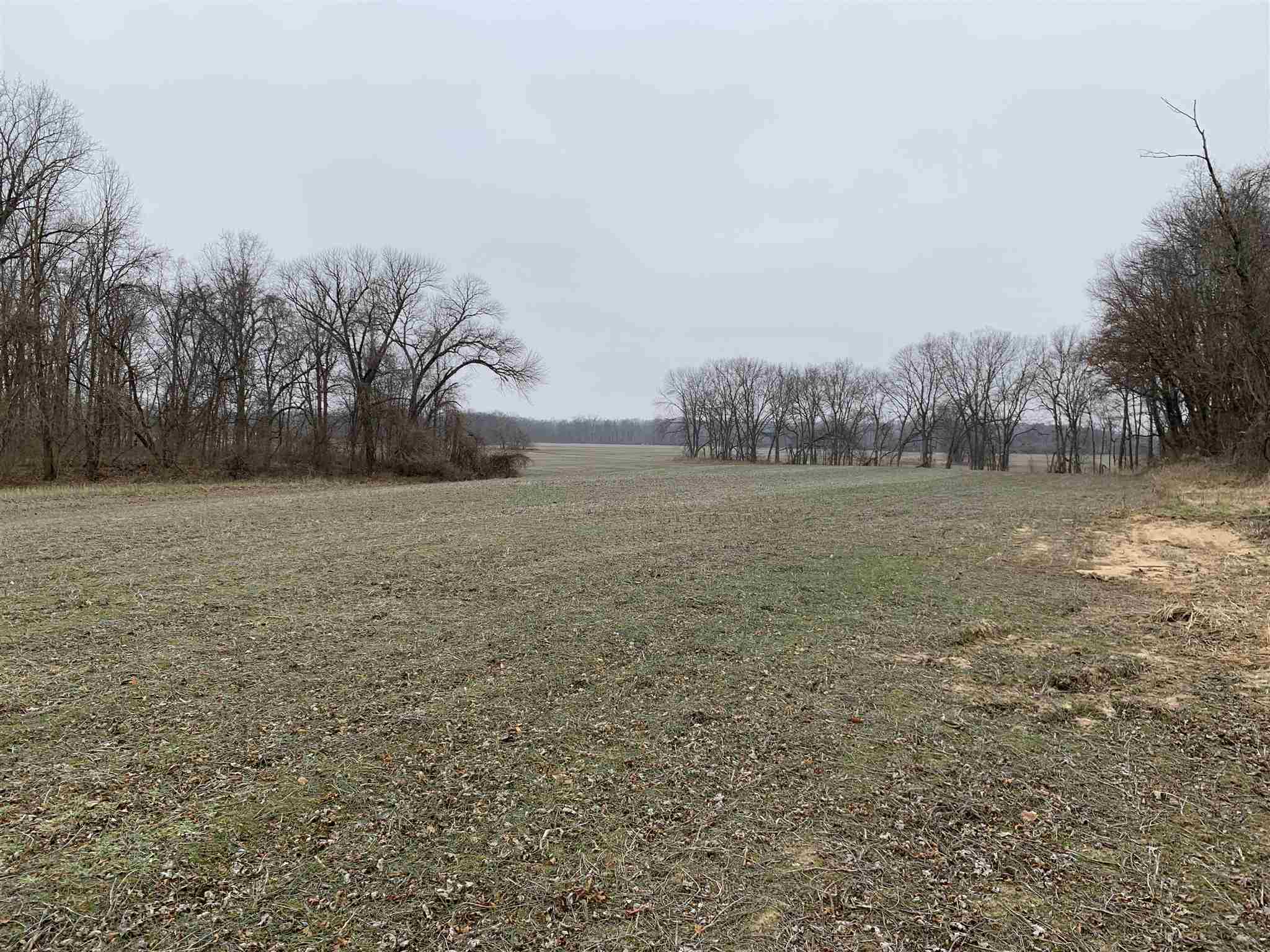 4640 East Giro Road Hazleton, IN 47640 - Photo 3 of 13 Gallery Image 3