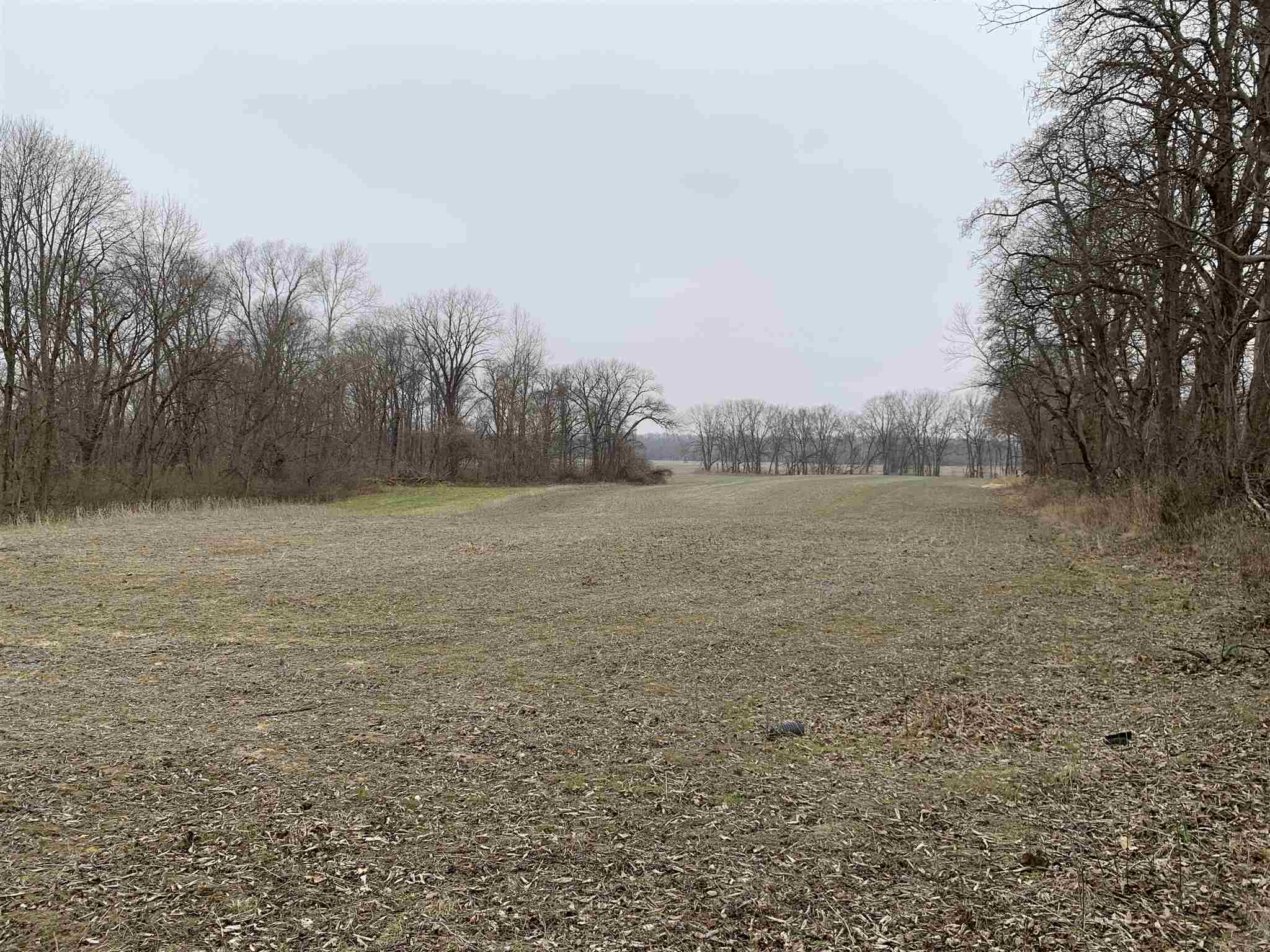 4640 East Giro Road Hazleton, IN 47640 - Photo 4 of 13 Gallery Image 4